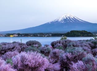 Mount Fuji from one of the Fuji Five Lakes