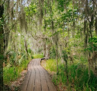 Jean Lafitte National Historical ParkJean Lafitte Natio