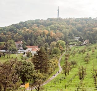Walk Up Petrin Hill