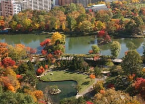 Enjoy the Natural Scenic Beauty of Nakajima Park