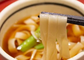 Flat Udon – Inuyama Castle