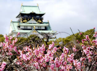 Things to do in Osaka During the Rugby World Cup 2019