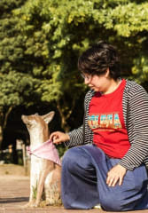 kobe beef tours Tourists crouching down next to the fox statues in Ohori park Fukuoka