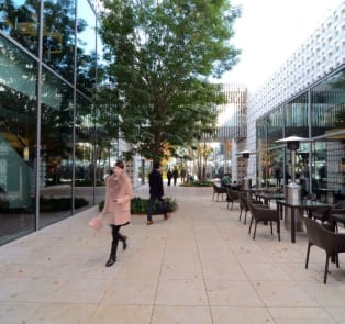 Stylish shopping district in Tokyo, Japan