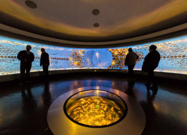 The Gold Museum
