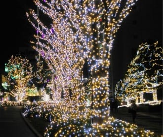 How to spend Christmas in Tokyo