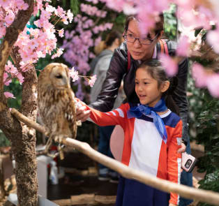 Local guides spend time with the travelers tailored to