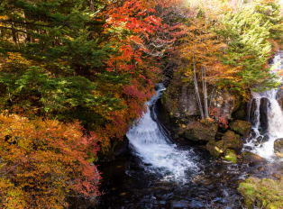 Day trips from Tokyo to Nikko National park, Japan