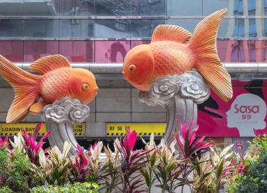 Unusual Things To Do In Hong Kong That Are Not In Your Guidebook