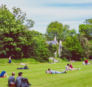 Iveagh Gardens