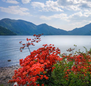 Most popular day trips to Lake Chuzenji