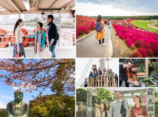 Explore the best of Japan with these guided tokyo day t