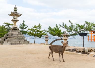 Miyajima
