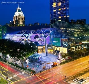 City Unscripted article image