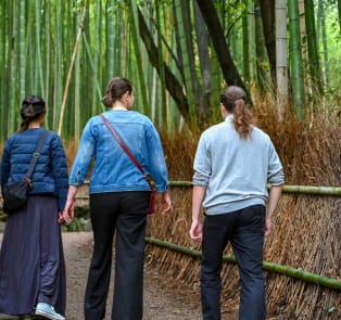 A guided tour in Kyoto's Bamboo Forest