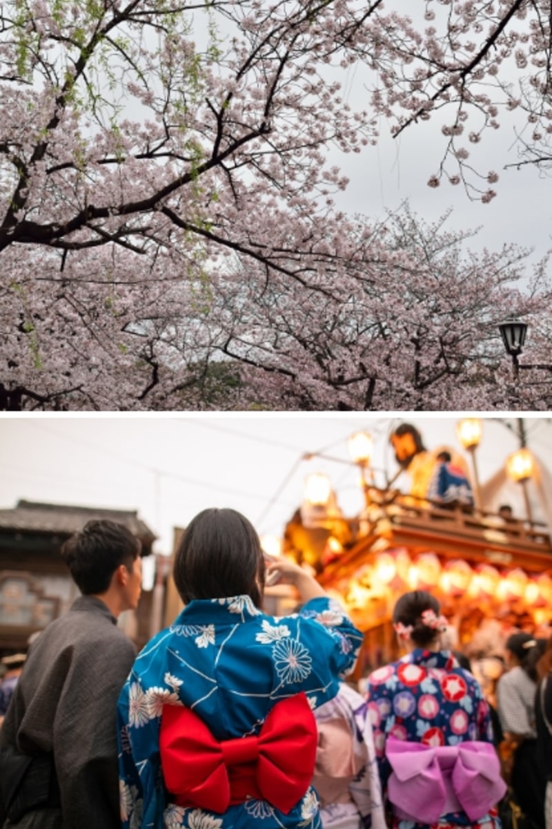 Tokyo Weather: from Spring Cherry Blossoms in March to November