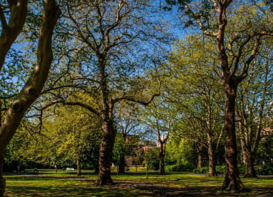 St Stephen’s Green