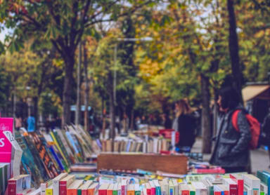 Changing leaves in Madrid’s parks