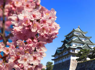 10 Hidden Gems In Nagoya