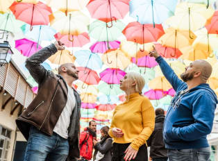 Art and culture themed guided tours