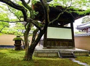 Visiting Kyoto's hidden gems and natural beauty