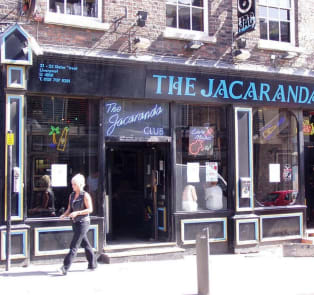 The Jacaranda