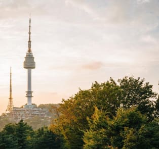 Visit the N Seoul Tower