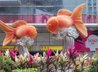 Unusual Things To Do In Hong Kong That Are Not In Your