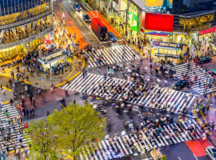 Visit the worlds busiest crossing