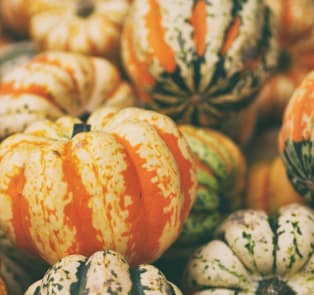 Celebrate halloween