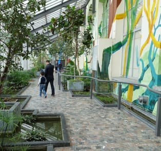 Take A Tour Of The Kings Gardens