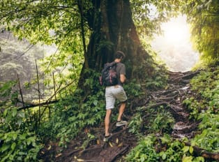 Solo traveler hiking in Tokyo