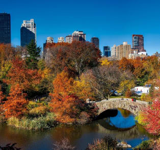 Have A Picnic In Central Park