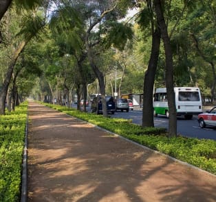 Stroll down Reforma Avenue