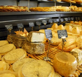 Cheese