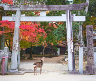 What To Do In Sapporo This Fall - Things To Do In September, October and November 2019