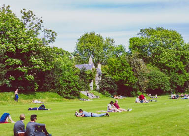Iveagh Gardens
