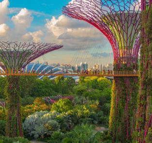 Things to do in Singapore in July