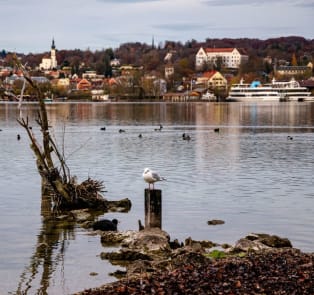 Starnberg