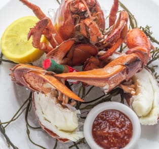 Lobster