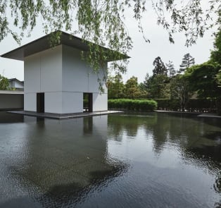 Discover the D.T. Suzuki Museum