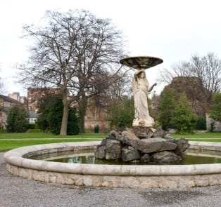 Iveagh Gardens