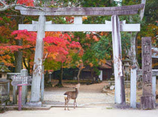 What To Do In Sapporo This Fall - Things To Do In Septe