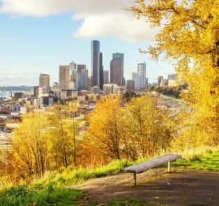 City Unscripted article image