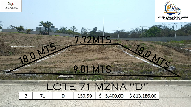 LOTE 71 MZNA D 2