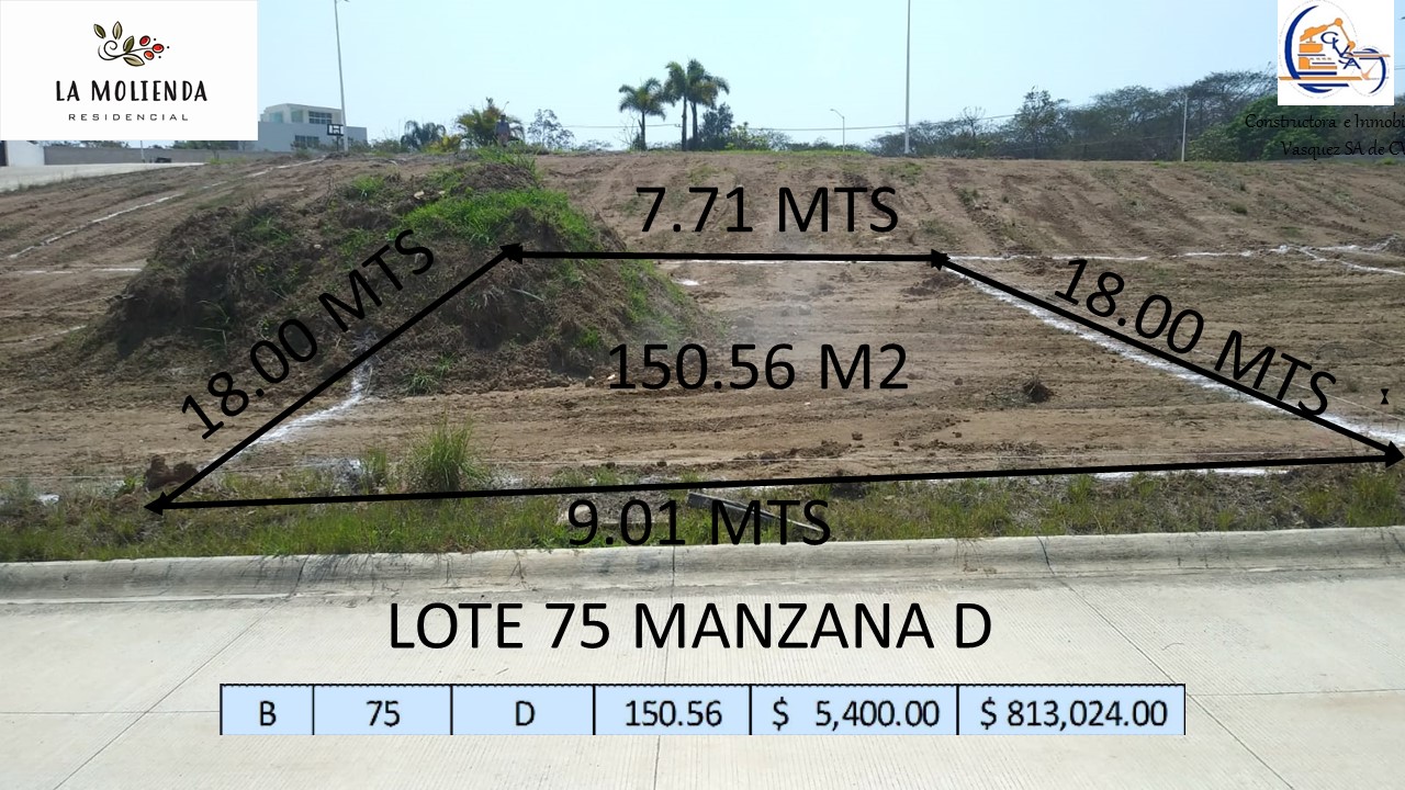 LOTE 75 MZNA D