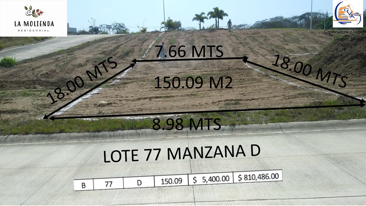 LOTE 77 MZNA D