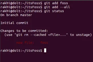 screenshot of git status being used in linux terminal