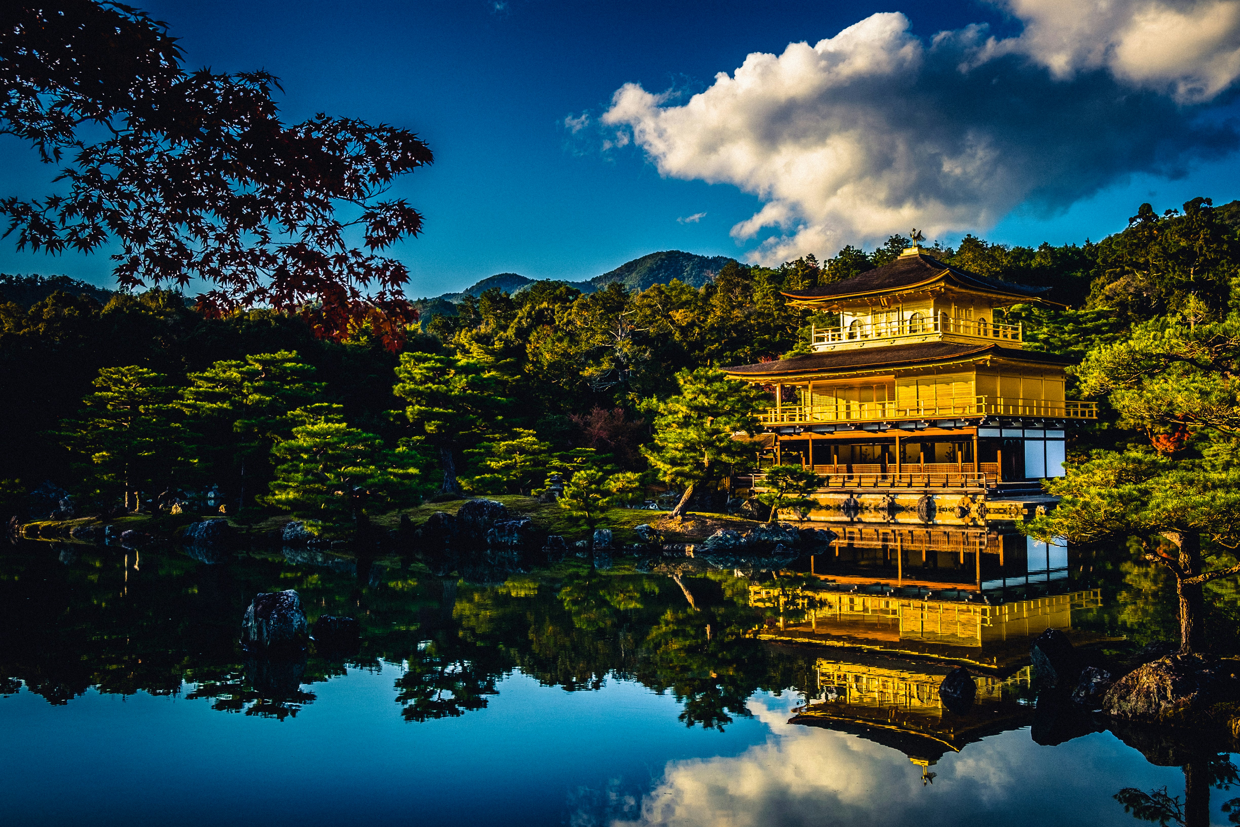 A Culinary Journey Through Kyoto: Indulge in Tradition & Modern Flavors