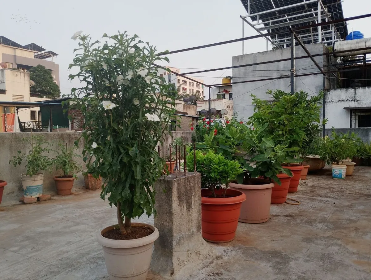 👨🦱 1 male roommate required for rent in Dattawadi, Pune photo 5